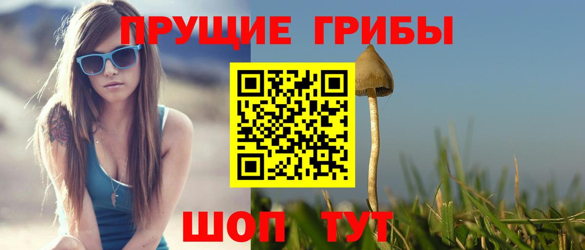 Псилоцибиновые грибы MAGIC MUSHROOMS Саранск