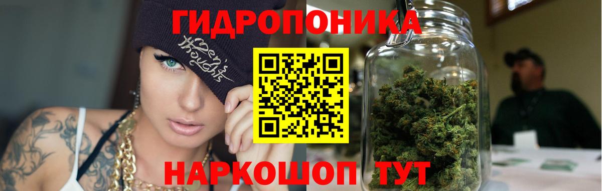 Бошки марихуана индика  Вход с VPN  Саранск  Бошки Шишки Ganja  Марихуана тримм 